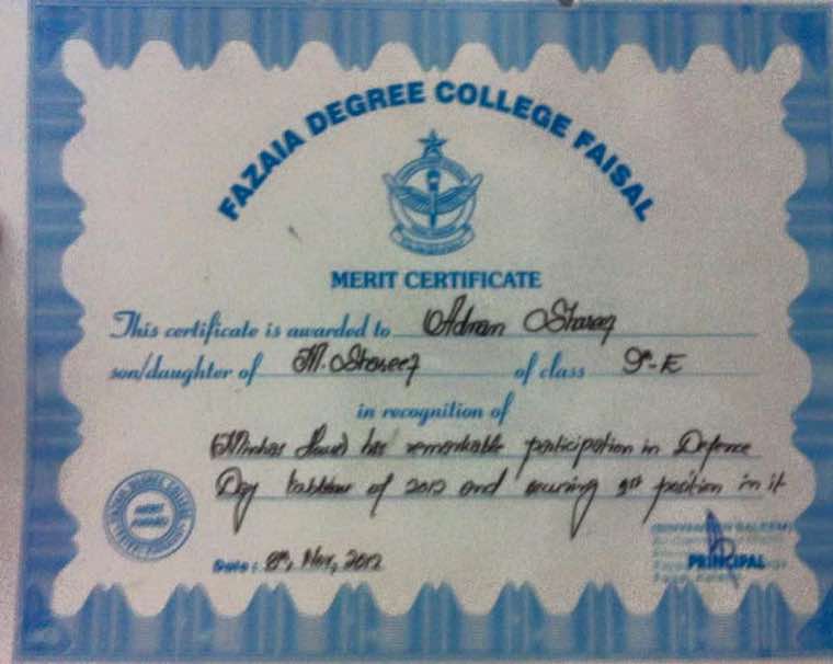 3rd Position — Defence Day Tableau, Fazaia Degree College Faisal